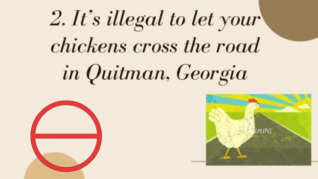 In Quitman, Georgia, it is against the law to allow your chickens to cross the road.